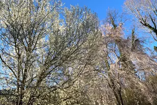 256 Black Rock Mountain Pkwy, Clayton, GA 30525 - Photo 37