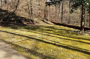 225 Pressley Way, Toccoa, GA 30577 - Photo 9