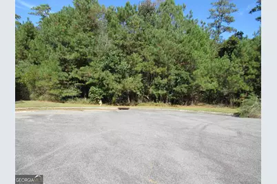 125 N Laura Ann Court, Macon, GA 31210 - Photo 5