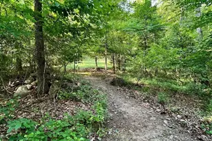 172 Nighthawk Ct, Monticello, GA 31064 - Photo 61