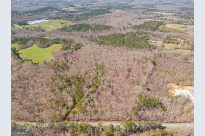 Tract5 Georgia Highway 100, Buchanan, GA 30113 - Photo 7