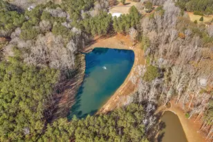 307 Weldon Lake Rd, Milner, GA 30257 - Photo 11