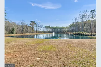 307 Weldon Lake Road, Milner, GA 30257 - Photo 3