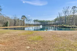 307 Weldon Lake Rd, Milner, GA 30257 - Photo 3