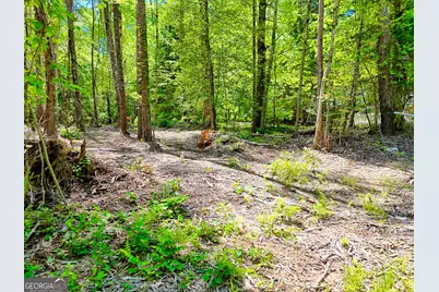 135 (Lot 5) Whispering Dale Road, Clarkesville, GA 30523 - Photo 9