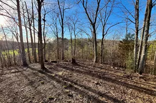 10667 Hwy 411 S, Chatsworth, GA 30705 - Photo 21