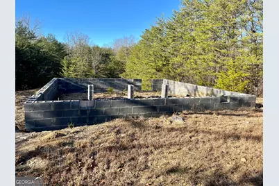10667 Highway 411 S, Chatsworth, GA 30705 - Photo 21
