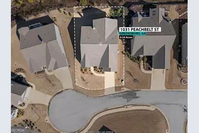 1031 Peachbelt Street, Greensboro, GA 30642 - Photo 5