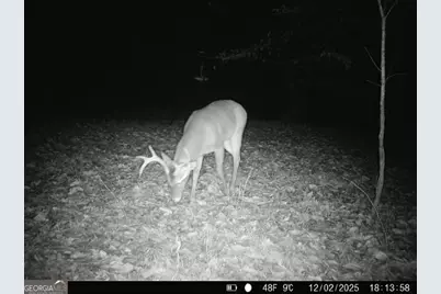 1130 Brown Brothers Road, Elberton, GA 30635 - Photo 63