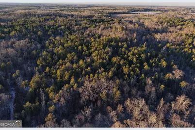 1130 Brown Brothers Road, Elberton, GA 30635 - Photo 9