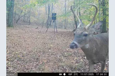 1130 Brown Brothers Road, Elberton, GA 30635 - Photo 55