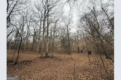 1130 Brown Brothers Road, Elberton, GA 30635 - Photo 37