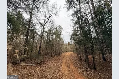 1130 Brown Brothers Road, Elberton, GA 30635 - Photo 47