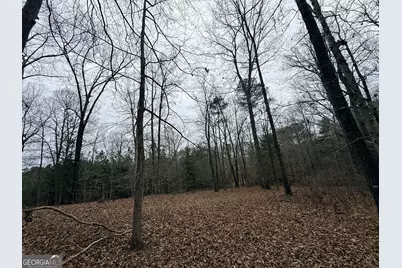 1130 Brown Brothers Road, Elberton, GA 30635 - Photo 23