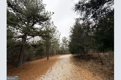 1130 Brown Brothers Road, Elberton, GA 30635 - Photo 53