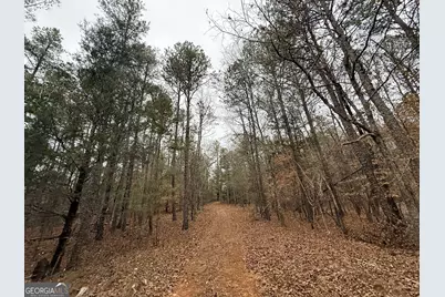 1130 Brown Brothers Road, Elberton, GA 30635 - Photo 45