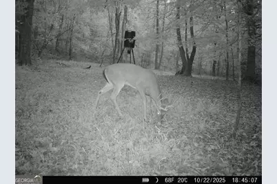 1130 Brown Brothers Road, Elberton, GA 30635 - Photo 61