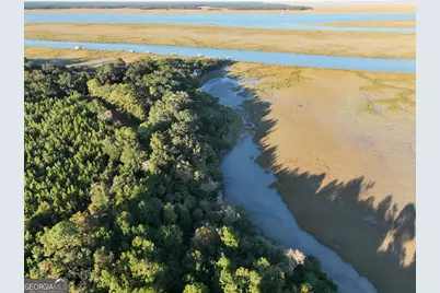 0 Deloach Road, Midway, GA 31320 - Photo 5