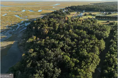 0 Deloach Road, Midway, GA 31320 - Photo 3