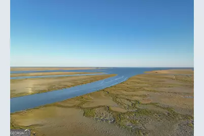 0 Deloach Road, Midway, GA 31320 - Photo 7