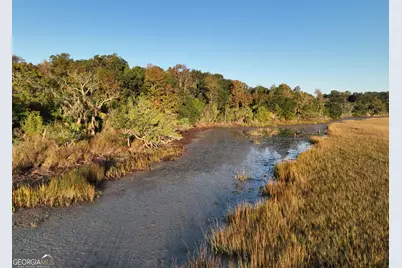 0 Deloach Road, Midway, GA 31320 - Photo 13