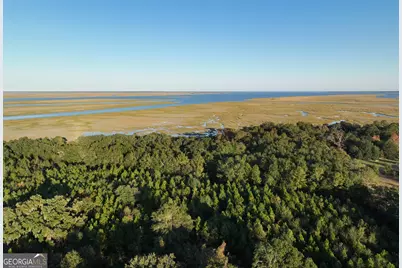 0 Deloach Road, Midway, GA 31320 - Photo 9