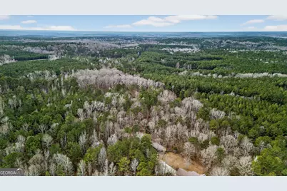 0 Forrest Road, Hogansville, GA 30230 - Photo 17