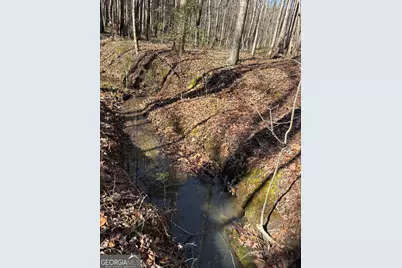 0 Forrest Road, Hogansville, GA 30230 - Photo 7