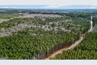 0 Forrest Road, Hogansville, GA 30230 - Photo 9