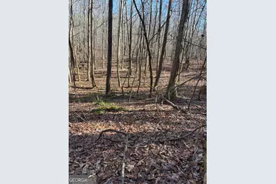 0 Forrest Road, Hogansville, GA 30230 - Photo 5