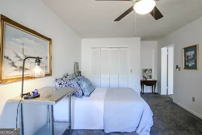 314 N Main Street, Reidsville, GA 30453 - Photo 79