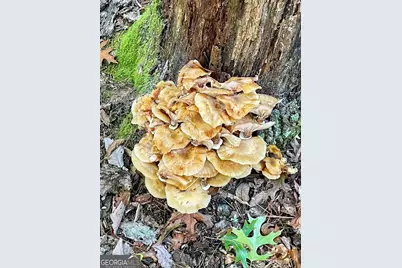 0 Blue Ridge Gap Road, Rabun Gap, GA 30568 - Photo 9