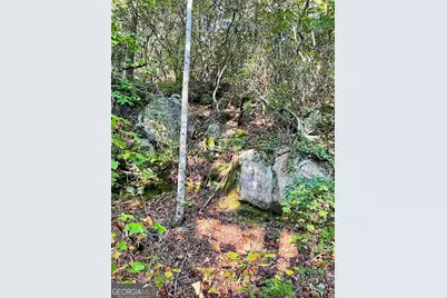 0 Blue Ridge Gap Road, Rabun Gap, GA 30568 - Photo 7