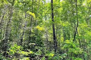 0 Blue Ridge Gap Rd, Rabun Gap, GA 30568 - Photo 1