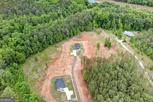 207 Riverview Rd, Franklin, GA 30217 - Photo 29