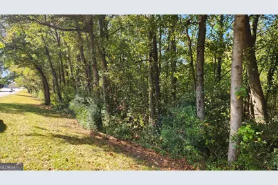 0 Bullsboro Drive, Newnan, GA 30265 - Photo 1