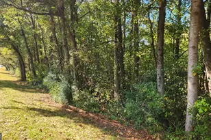 0 Bullsboro Dr, Newnan, GA 30265 - Photo 1