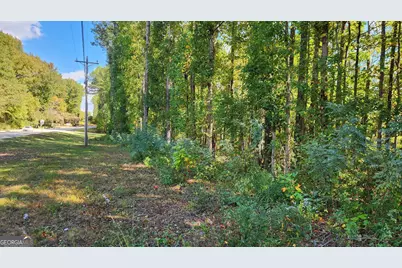 0 Bullsboro Drive, Newnan, GA 30265 - Photo 7