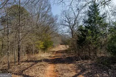 2644 Nunnally Shoals Tract 2 Road, Good Hope, GA 30641 - Photo 7