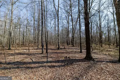 2644 Nunnally Shoals Tract 2 Road, Good Hope, GA 30641 - Photo 9