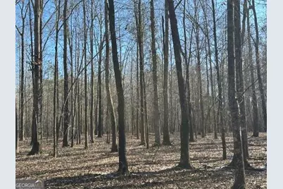 2644 Nunnally Shoals Tract 2 Road, Good Hope, GA 30641 - Photo 7