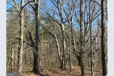 2644 Nunnally Shoals Tract 2 Road, Good Hope, GA 30641 - Photo 5