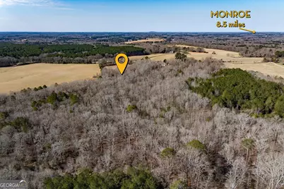2644 Nunnally Shoals Tract 2 Road, Good Hope, GA 30641 - Photo 3