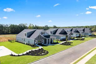 641 Parnassus Rd, Locust Grove, GA 30248 - Photo 29