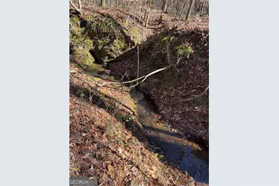 0 Durand Highway, Warm Springs, GA 31830 - Photo 9