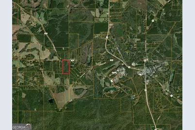 0 Durand Highway, Warm Springs, GA 31830 - Photo 3