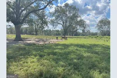 627 Buford Road, Arabi, GA 31712 - Photo 17