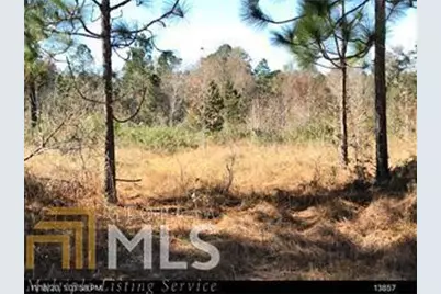 0 Bill Glenn Rd Off Highway 56, Swainsboro, GA 30401 - Photo 1
