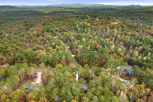 1130 Bridge Rd, Ellijay, GA 30540 - Photo 41