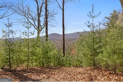 0 Big Creek Road, Ellijay, GA 30536 - Photo 21